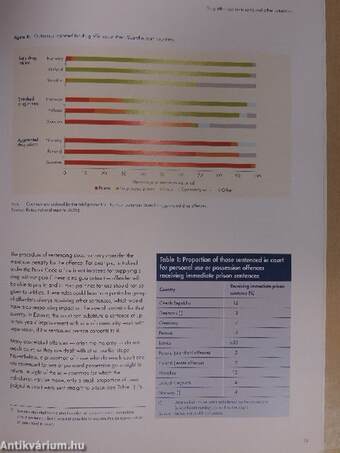 Drug offences: sentencing and other outcomes