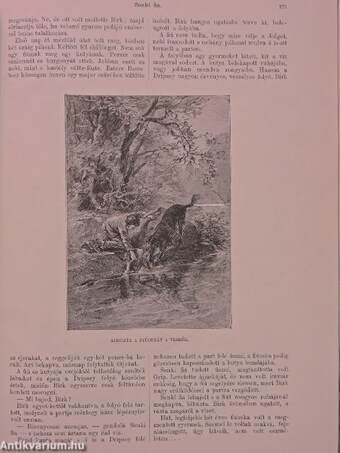 Képes Folyóirat 1896/XV. füzet