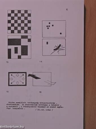 A vizuális megismerés és a vizuális kommunikáció