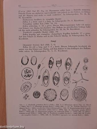 Magyar Nemzeti Múzeum-Természettudományi Múzeum évkönyve 1958.