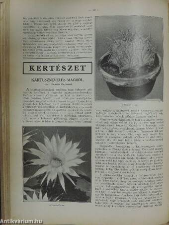 A Természet 1934. (nem teljes évfolyam)