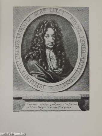 Dialektisches Denken in der Philosophie von Gottfried Wilhelm Leibniz