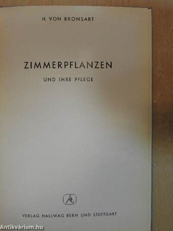 Zimmerpflanzen und ihre pflege