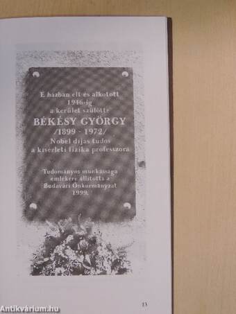 Békésy György, az orvosi Nobel-díjas kísérleti fizikus