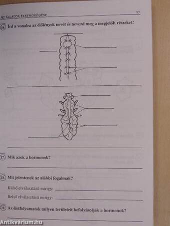 Biológia gyakorlófeladatok 7.