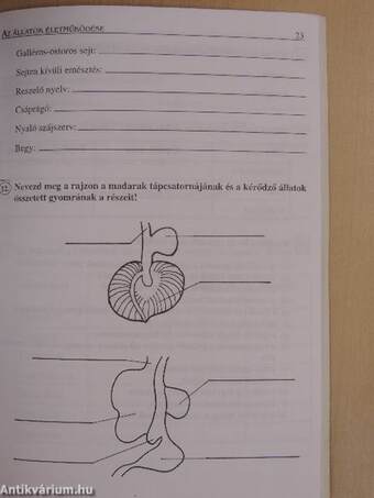 Biológia gyakorlófeladatok 7.