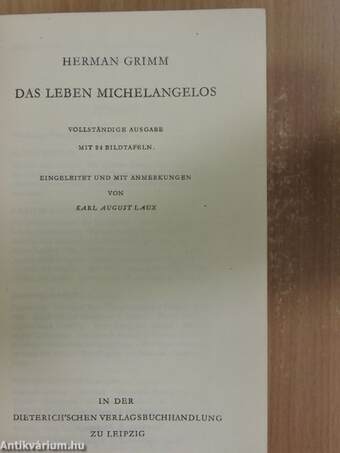 Das Leben Michelangelos