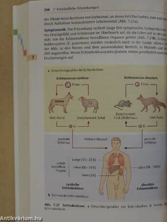 Urologie