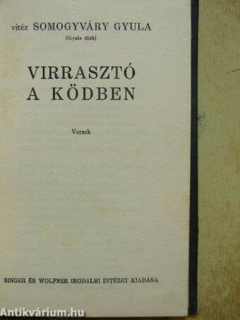 Virrasztó a ködben