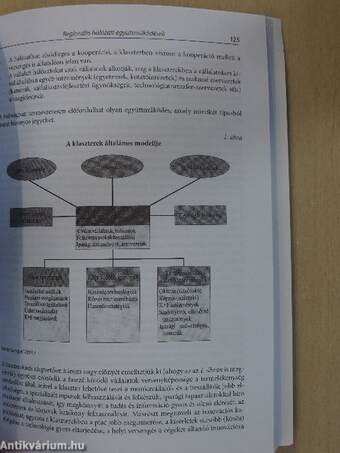 Competitio 2007. november