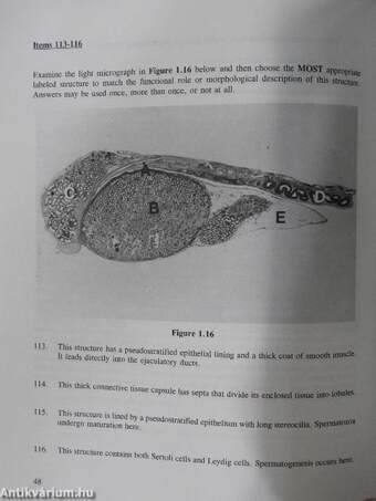 Anatomy - Review for USMLE, Step 1