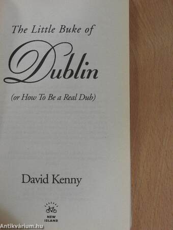 The Little Buke of Dublin