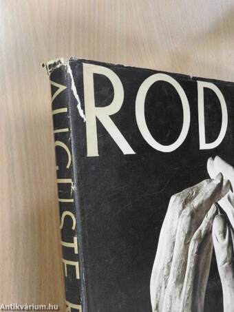 Rodin