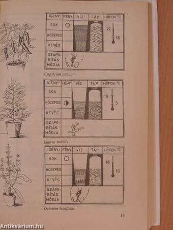 Válaszok szobanövény-kedvelők kérdéseire