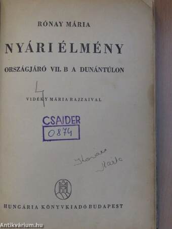 Nyári élmény