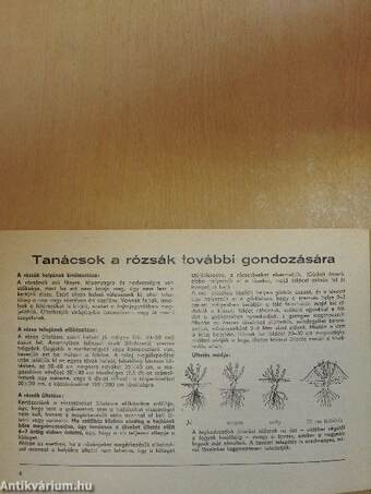 Horváth rózsakertészet 1986. őszi - 1987. tavaszi rózsafajtajegyzéke