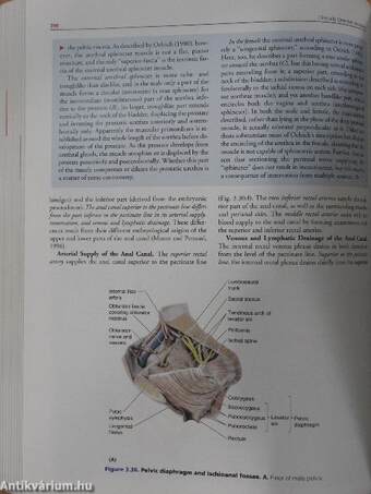 Clinically Oriented Anatomy