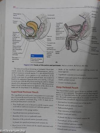 Clinically Oriented Anatomy