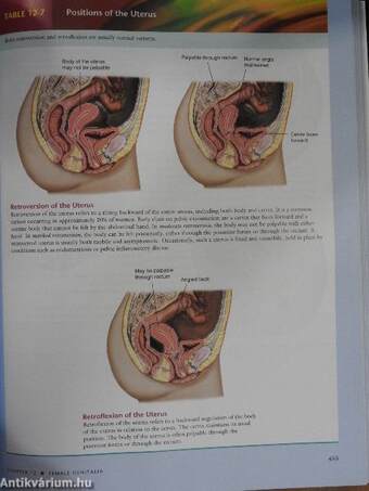 Bates' Guide to Physical Examination and History Taking - CD-vel