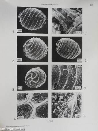 Quartärpaläontologie 5/1984.