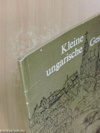 Kleine ungarische Geschichte