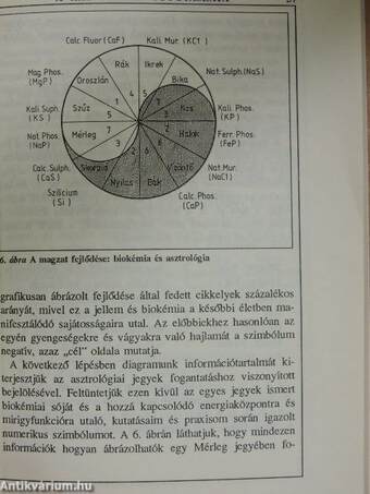 A XXI. század gyógyászata