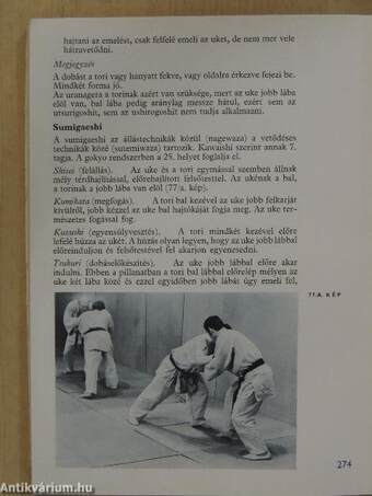 Judo övvizsgák 