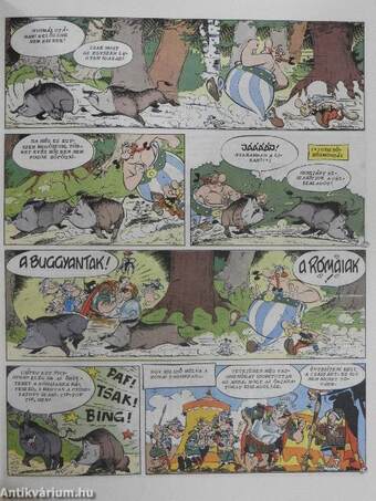 Asterix - A római Druida