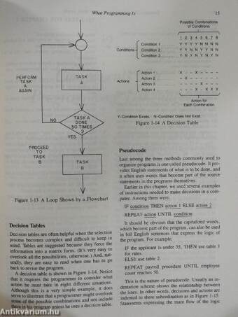 Computer Programming Languages Made Simple