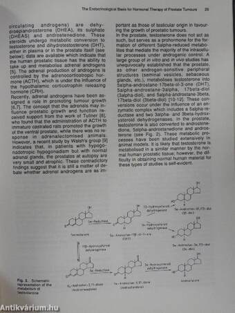 The Medical Management of Prostate Cancer II.