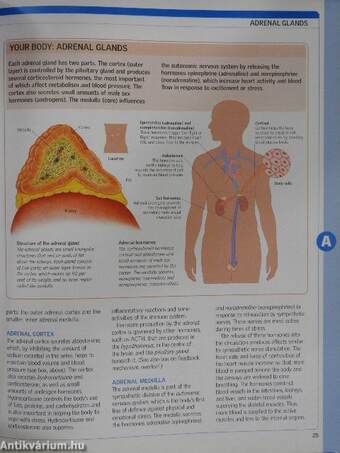 A-Z of Family Health 1. (töredék)