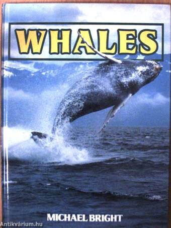 Whales