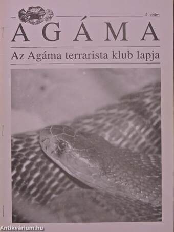 Agáma 4.