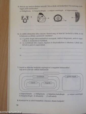 Természetismeret munkafüzet 5.