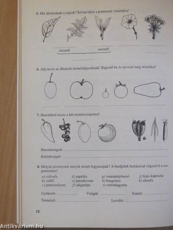 Természetismeret munkafüzet 5.