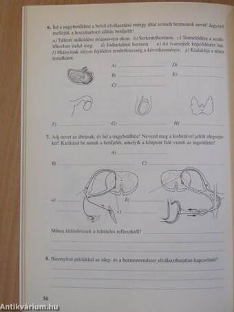 Biológia munkafüzet 8.