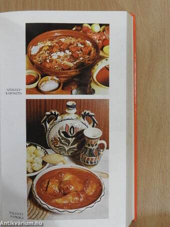 Az ínyesmester szakácskönyve