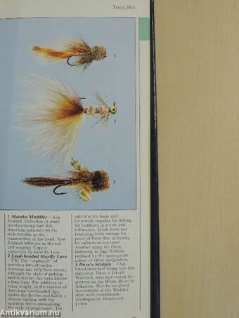 The Pocket Guide to Trout & Salmon Flies