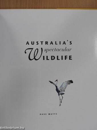 Australia's spectacular Wildlife