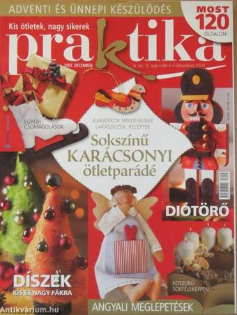 Praktika 2007. december