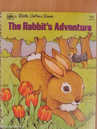 The Rabbit's Adventure