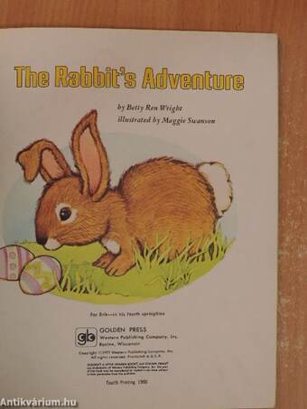 The Rabbit's Adventure