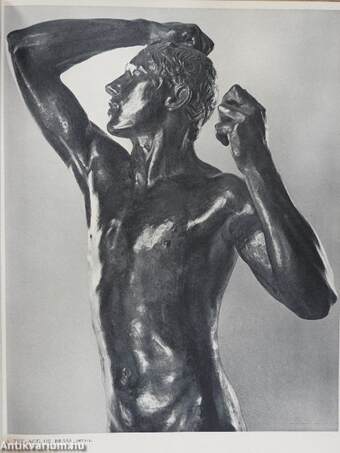 Rodin Sculptures