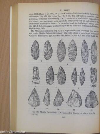 The archaeology of early man