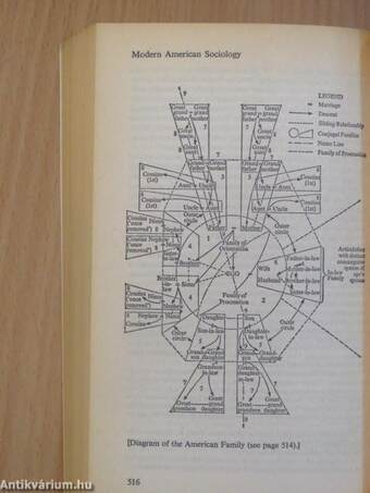 The Origins and Growth of Sociology