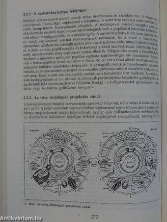 Természetes gyógymódok