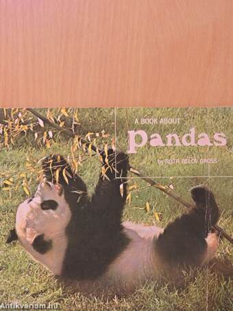 A Book about Pandas