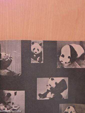 A Book about Pandas