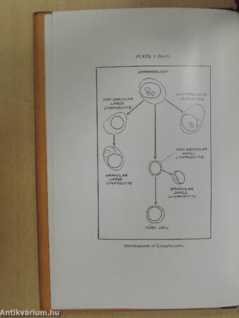 Clinical Atlas of Blood Diseases