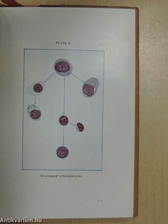 Clinical Atlas of Blood Diseases